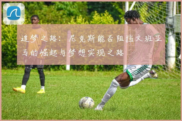 追梦之路：尼克斯能否阻挡文班亚马的崛起与梦想实现之路