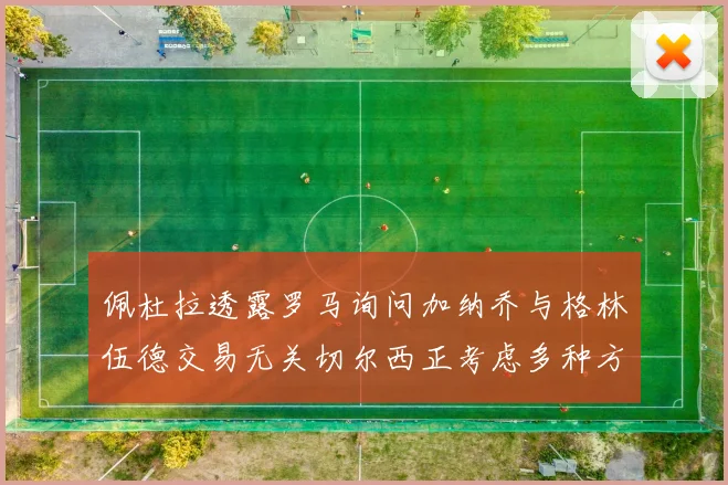 佩杜拉透露罗马询问加纳乔与格林伍德交易无关切尔西正考虑多种方案
