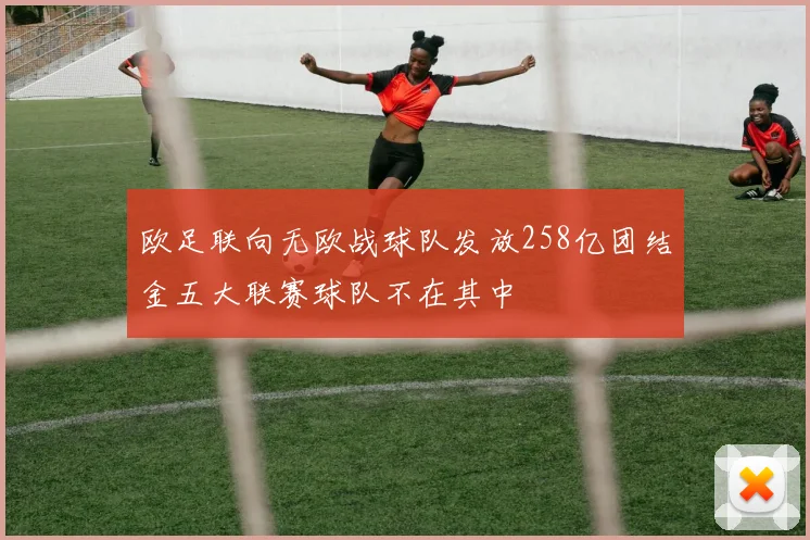 欧足联向无欧战球队发放258亿团结金五大联赛球队不在其中