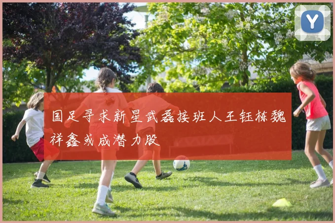 国足寻求新星武磊接班人王钰栋魏祥鑫或成潜力股